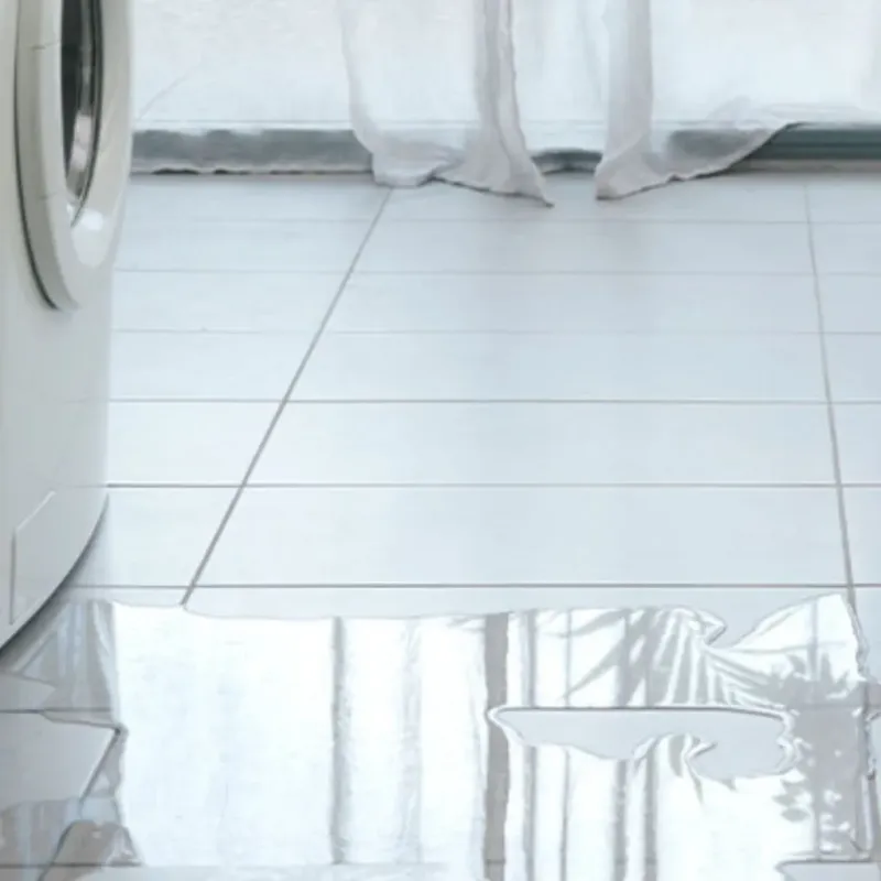 Appliance Leak Cleanup in Southwest Ranches, FL
