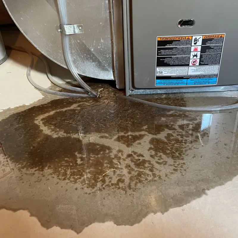 Pipe Burst and Leak Restoration in Southwest Ranches, FL